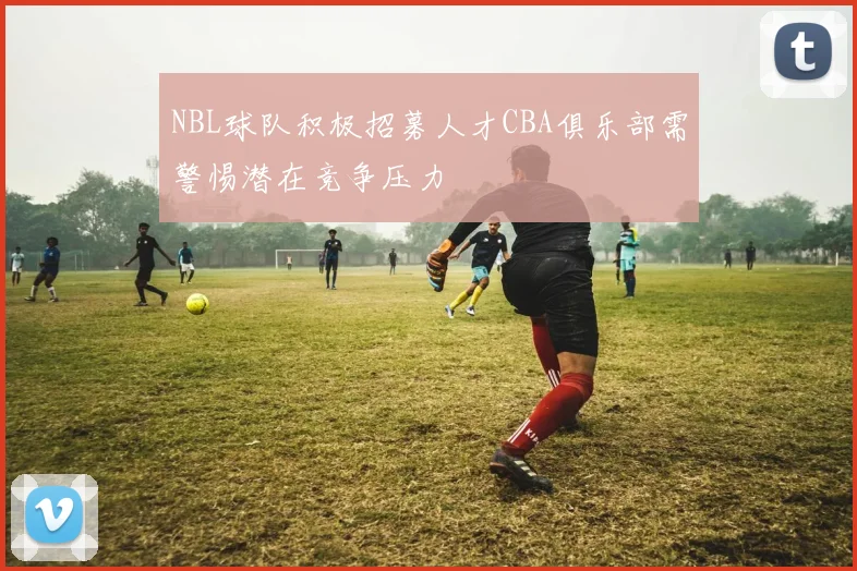 NBL球队积极招募人才CBA俱乐部需警惕潜在竞争压力
