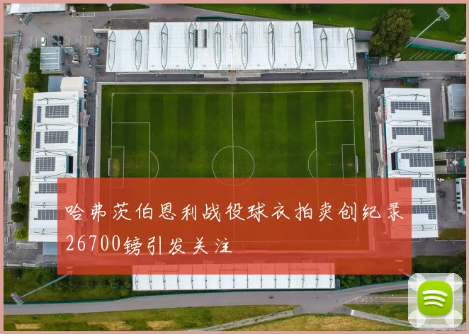 哈弗茨伯恩利战役球衣拍卖创纪录26700镑引发关注