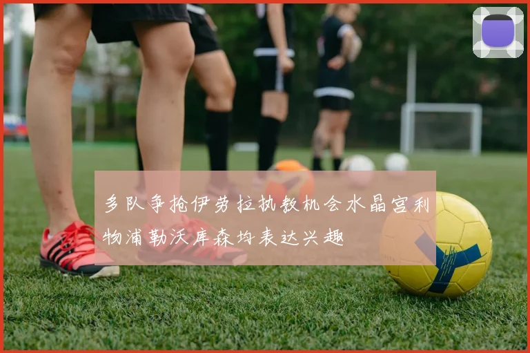 多队争抢伊劳拉执教机会水晶宫利物浦勒沃库森均表达兴趣