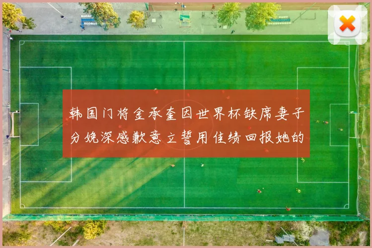 韩国门将金承奎因世界杯缺席妻子分娩深感歉意立誓用佳绩回报她的支持与爱
